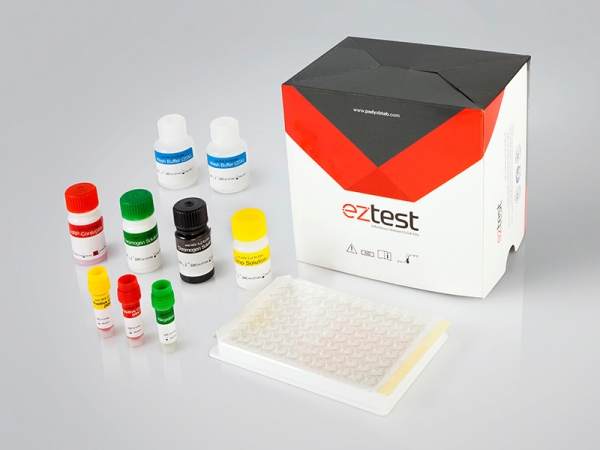 HCV-Ab ELISA Kit